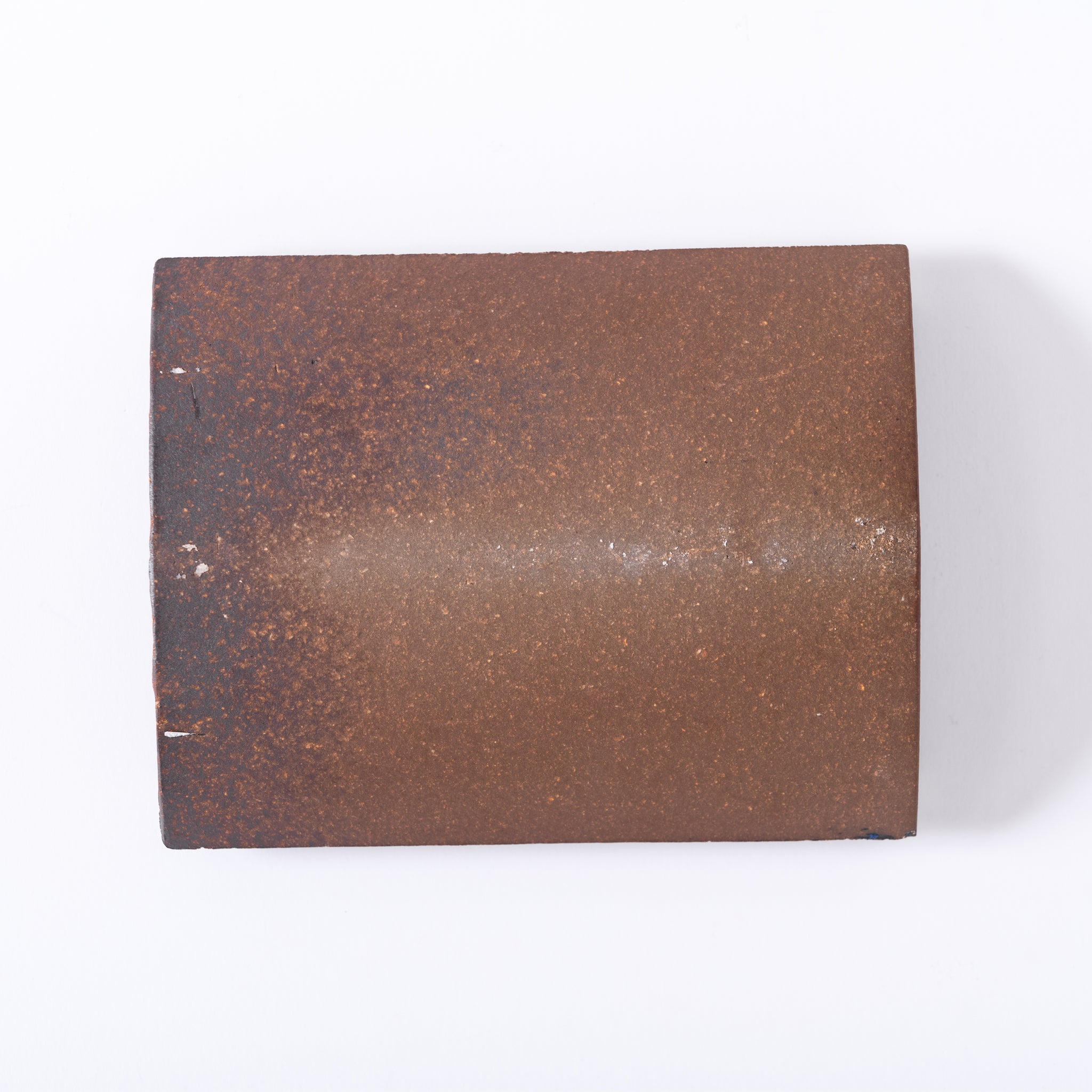 Cove Unglazed Light (Tajimi Custom Tiles)｜TILE KIOSK