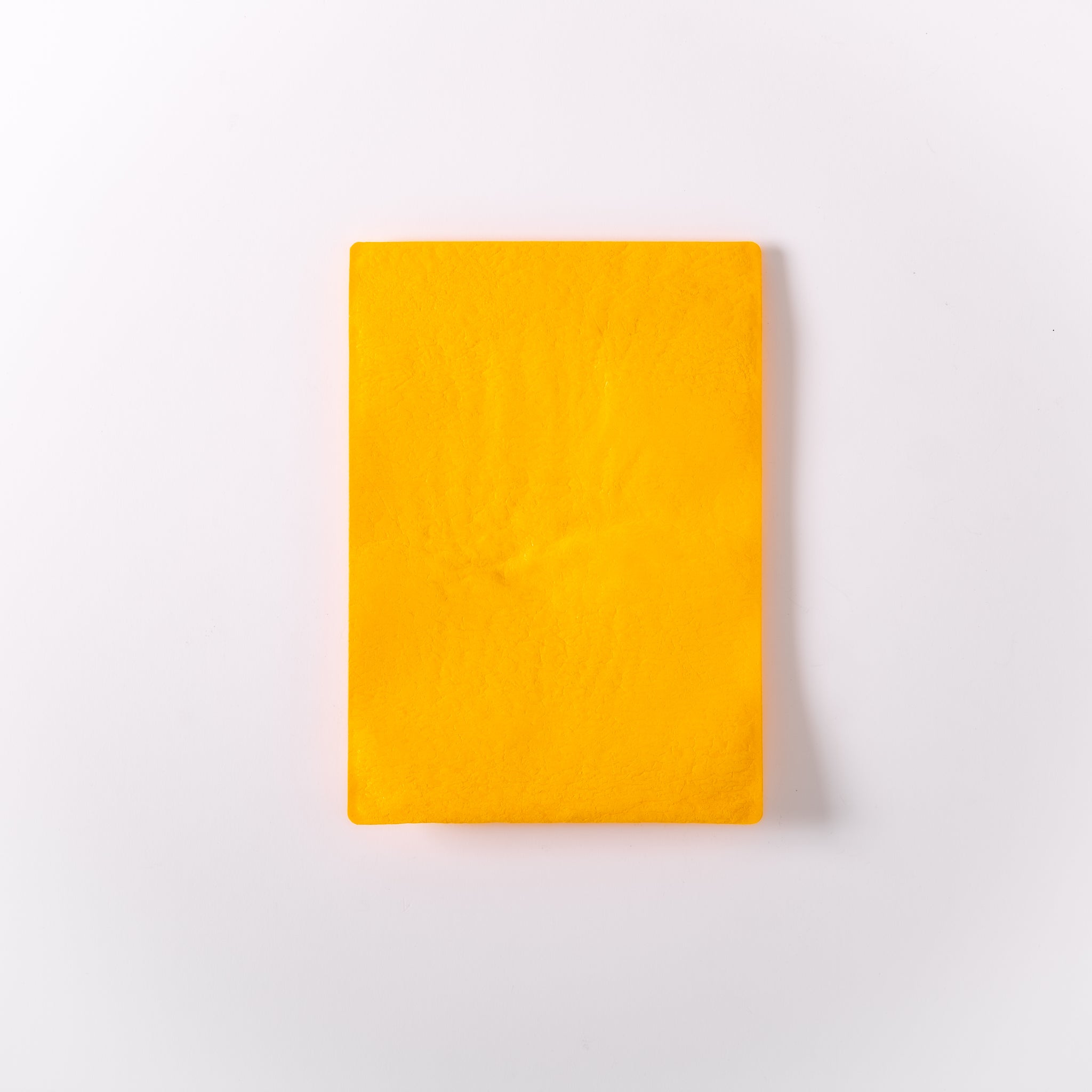 PE FLAP CASE - M｜Pull Push Products.