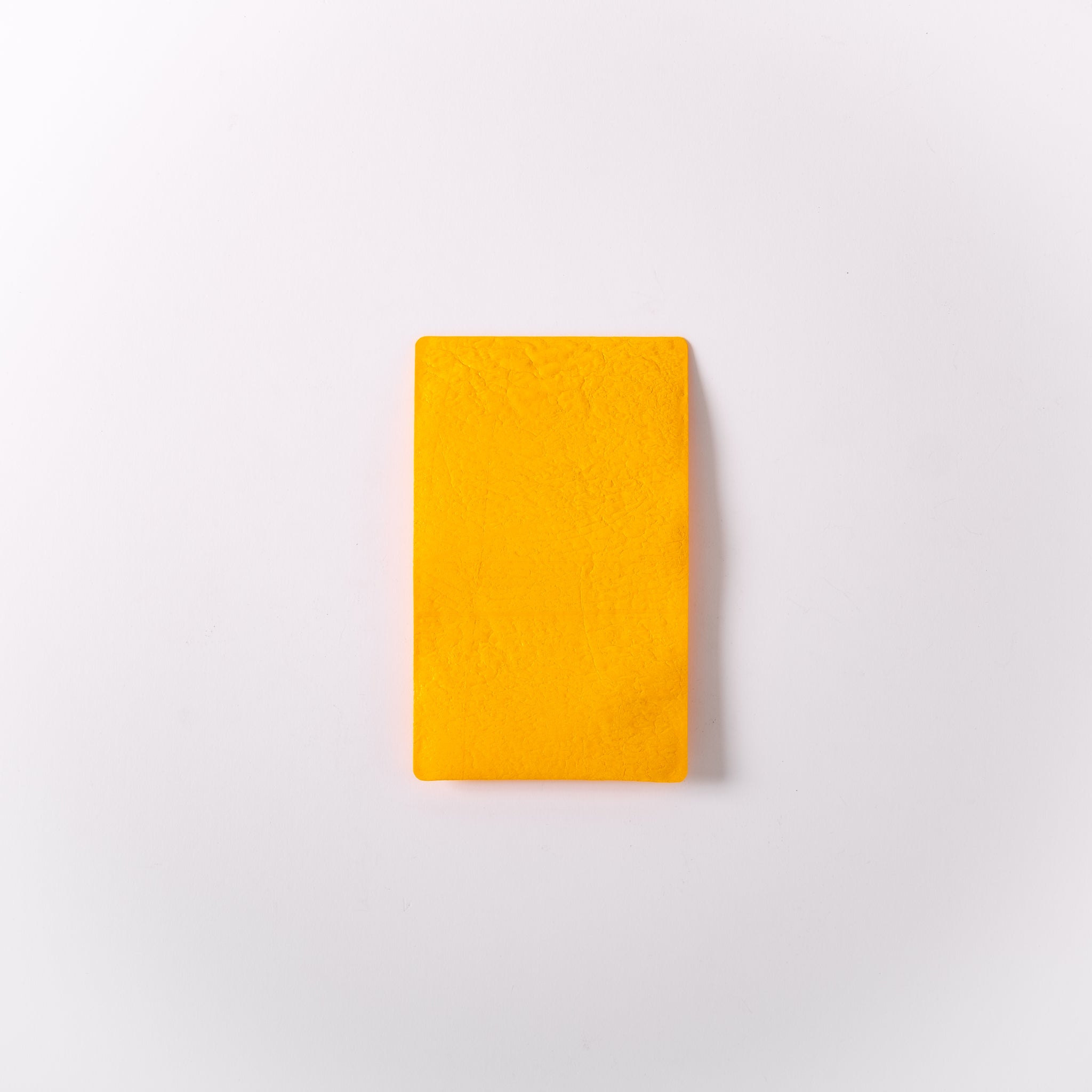 PE FLAP CASE - S｜Pull Push Products.