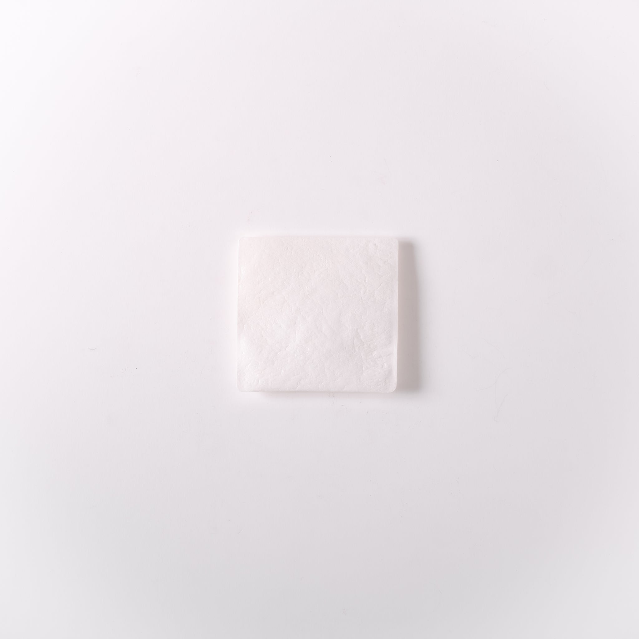 PE FLAP CASE - XS｜Pull Push Products.