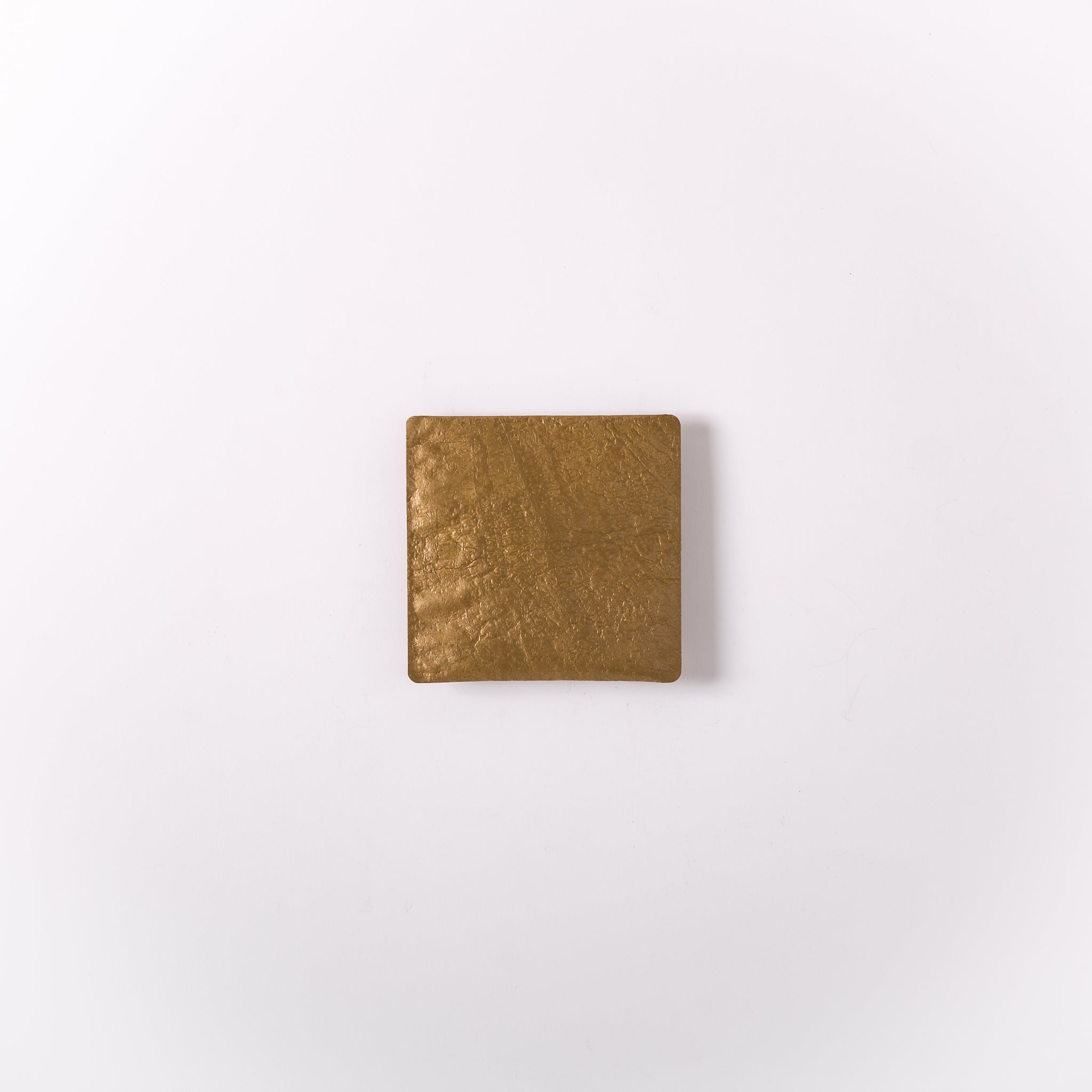 PE FLAP CASE - XS｜Pull Push Products.